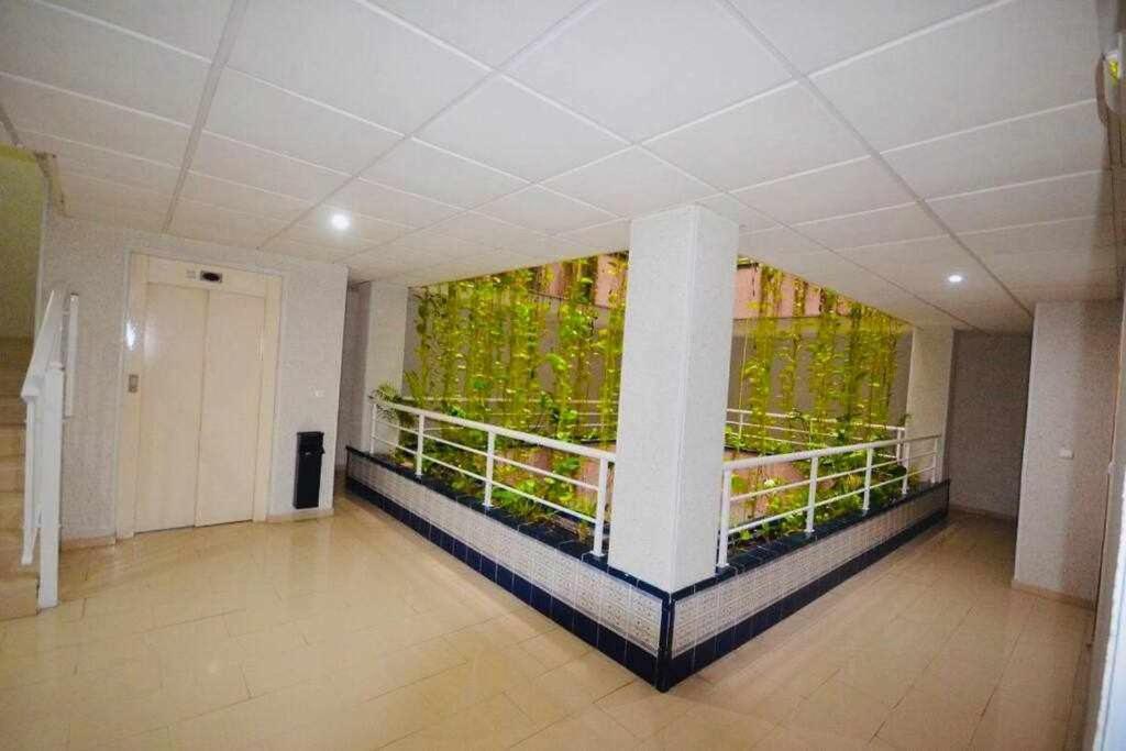 Apartamento Pink Sweet Home Torrevieja Exterior photo